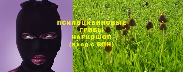 кокс Армянск