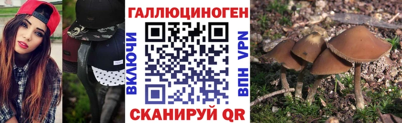 KRAKEN маркетплейс  Пыталово  Галлюциногенные грибы прущие грибы 