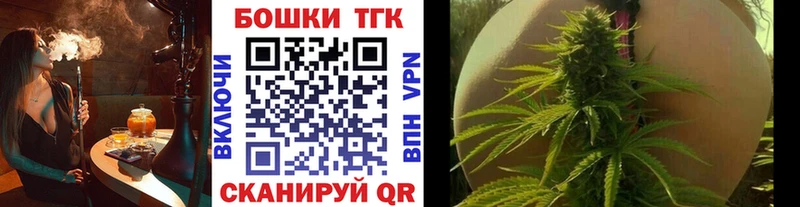 где найти наркотики  Пыталово  Марихуана сатива 